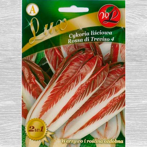 Cicoare de frunze (radicchio) Rossa di Treviso imagine 1 articol 69457