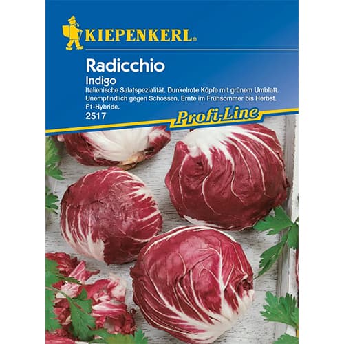 Cicoare roșie (radicchio) Indigo imagine 1 articol 86507
