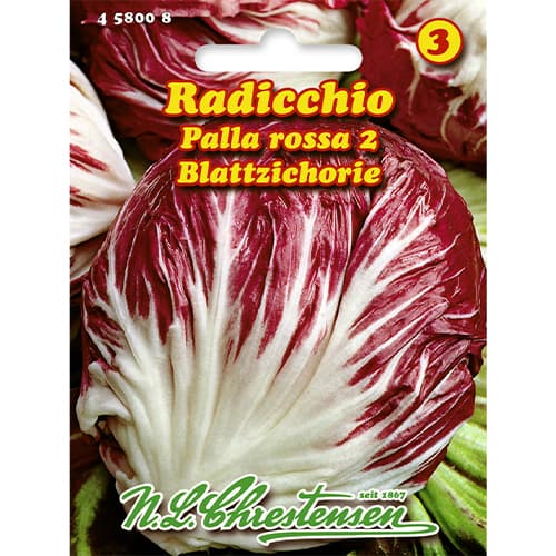 Cicoare roșie (radicchio) Palla Rossa 2 imagine 1 articol 86083