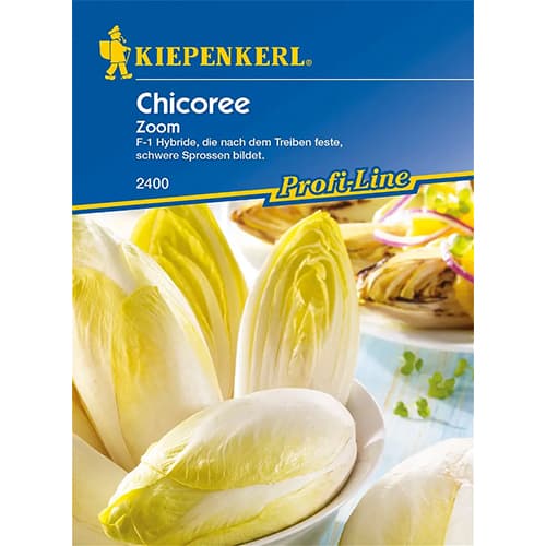 Cicoare Zoom F1 imagine 1 articol 86424