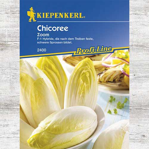 Cicoare Zoom F1 imagine 1 articol 69051