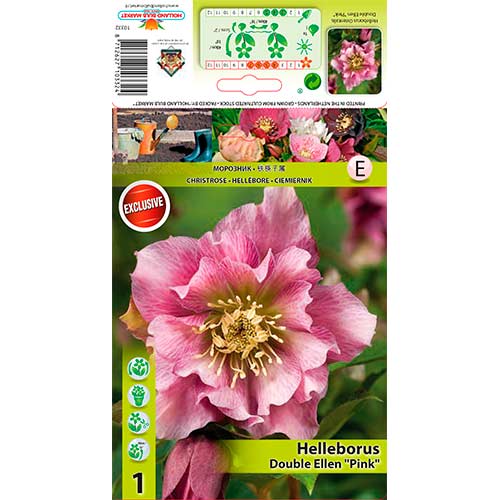 Ciemiernik Double Ellen Pink interface.image 1 interface.art 76262
