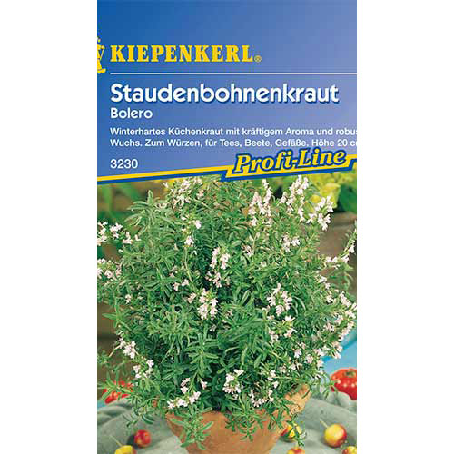 Cimbru de iarnă Bolero Kiepenkerl imagine 1 articol 86333