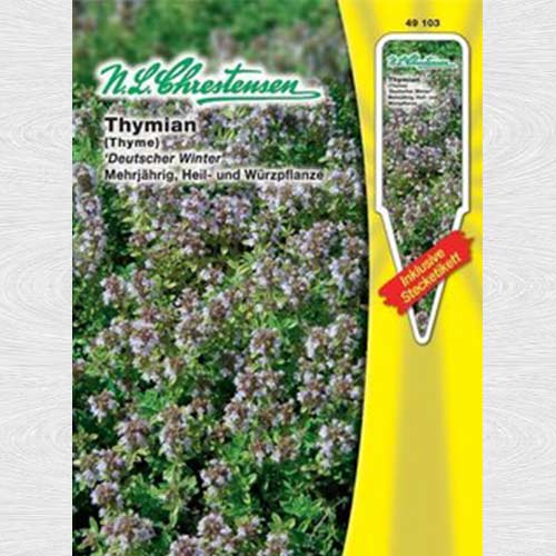 Cimbru Deutscher Winter imagine 1 articol 69208