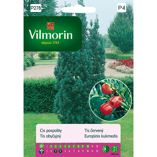 Cis pospolity Vilmorin interface.image 1 interface.art 86630