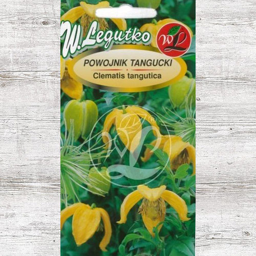 Clematis tangutica galben Legutko imagine 1 articol 87111