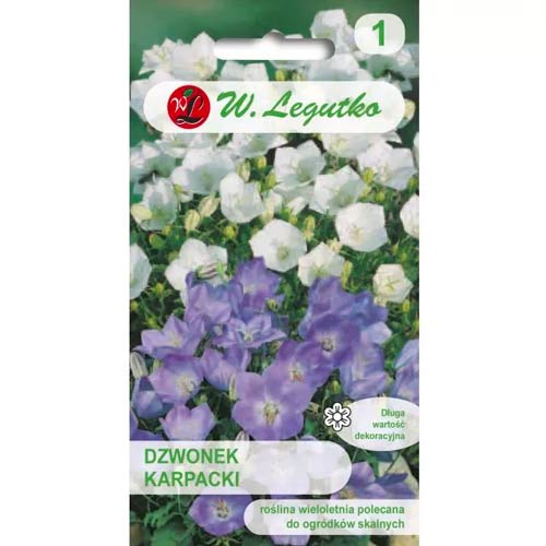 Clopoțel alb carpatic Legutko imagine 1 articol 50095