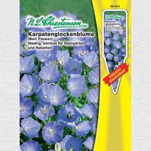 Clopoțel carpatin imagine 1 articol 69263