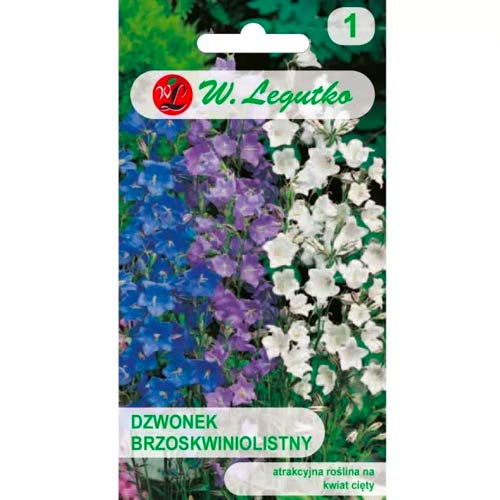 Clopoțel frunză de piersic Legutko imagine 1 articol 50094