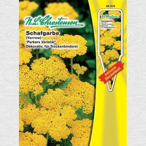 Coada șoricelului Parker's variety imagine 1 articol 69230