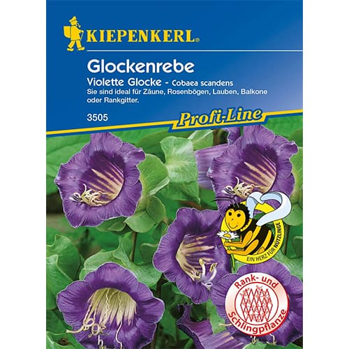 Cobaea Violett imagine 1 articol 86266