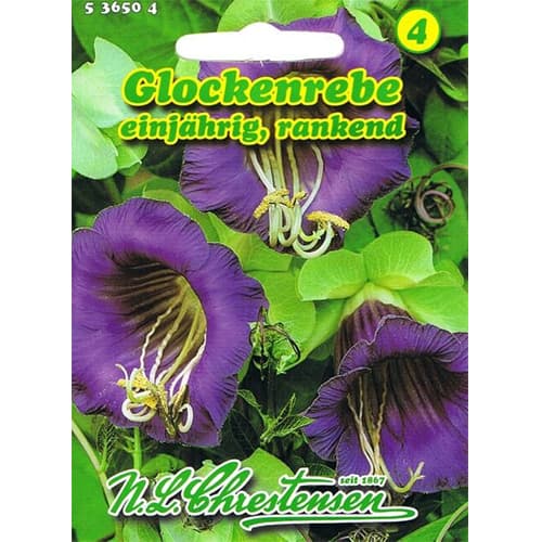 Cobaea Violettblau imagine 1 articol 78982