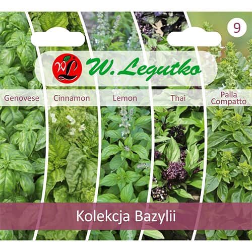 Colecție de busuioc, pachet cu 5 soiuri imagine 1 articol 96837