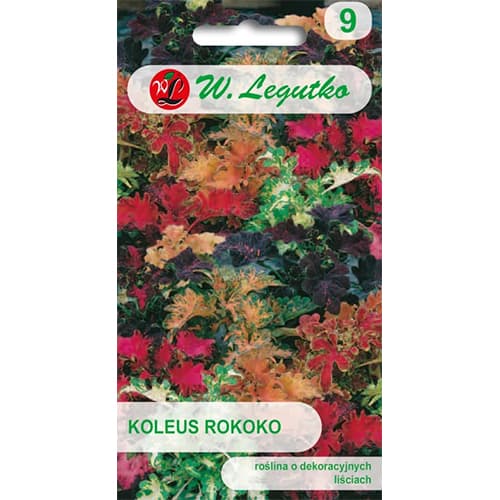Coleus Rokoko, mix multicolor imagine 1 articol 78630