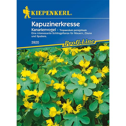 Condurul doamnei Canary imagine 1 articol 86274