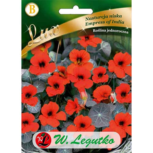 Condurul doamnei Empress of India imagine 1 articol 86750