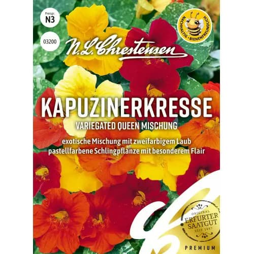 Condurul doamnei Queen, mix multicolor imagine 1 articol 87812