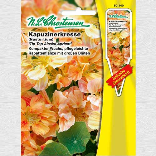 Condurul doamnei Tip Top Alaska Apricot imagine 1 articol 69397