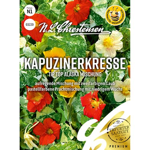 Condurul doamnei Tip Top Alaska, mix multicolor imagine 1 articol 86158