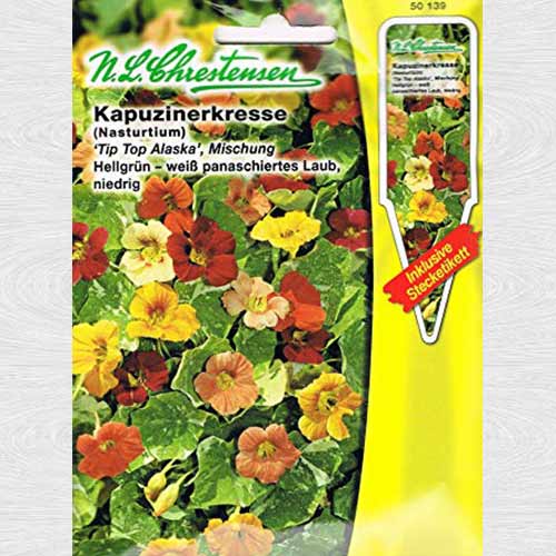 Condurul doamnei Tip Top Alaska, mix multicolor imagine 1 articol 69398