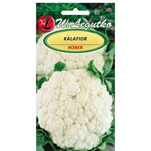 Conopidă Rober imagine 1 articol 86870