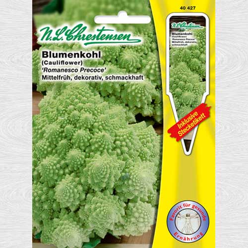 Conopidă Romancesco Precoce imagine 1 articol 69040