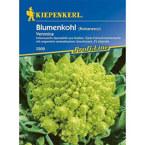 Conopidă romanesco Veronica F1 imagine 1 articol 86517