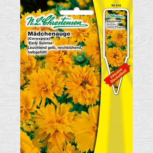 Coreopsis Early Sunrise imagine 1 articol 69275