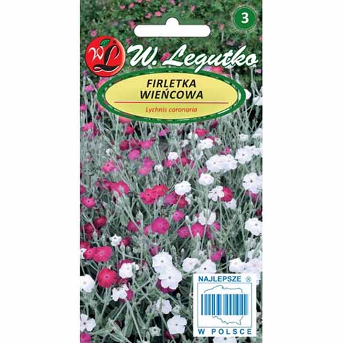 Lychnis chalcedonica, mix multicolor imagine 1 articol 96741