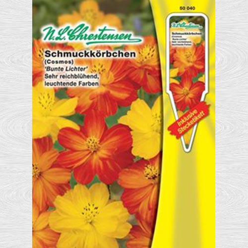 Cosmos (Mărărițe) Bunte Lichte imagine 1 articol 69277