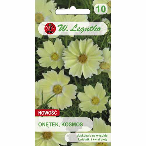 Cosmos (Mărărițe) galbene imagine 1 articol 96794