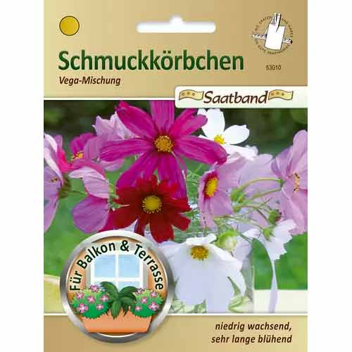 Cosmos (Mărărițe) Vega, mix multicolor Chrestensen imagine 1 articol 50027