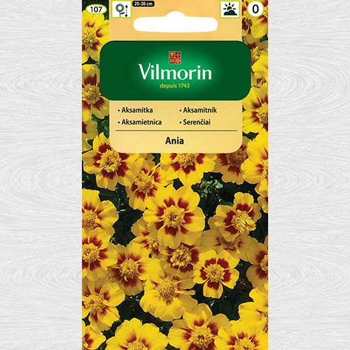 Craite Ania imagine 1 articol 69758