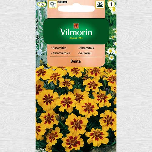 Craite Beata imagine 1 articol 69759