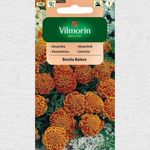 Craite Bonita Bolero imagine 1 articol 69752