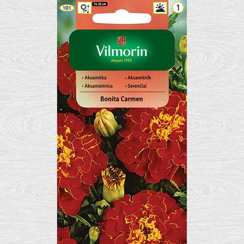 Craite Bonita Carmen imagine 1 articol 69753