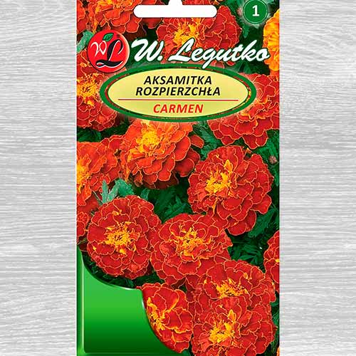 Crăițe Carmen Legutko imagine 1 articol 69550