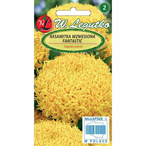 Crăițe galbene Fantastic imagine 1 articol 96692