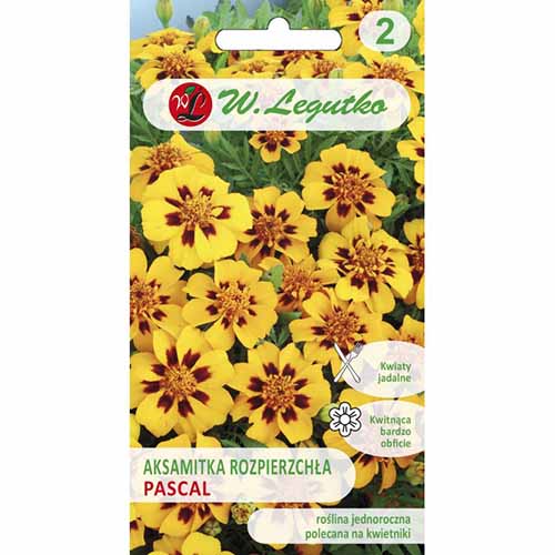 Crăițe Pascal imagine 1 articol 96690