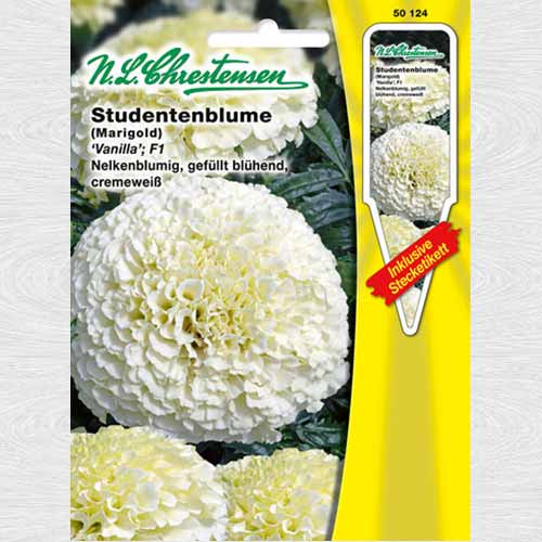 Crăițe înalte Vanilla F1 imagine 1 articol 69386