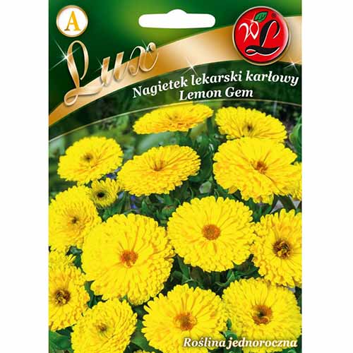 Gălbenele Lemon Gem imagine 1 articol 96774