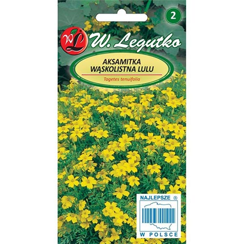 Crăițe Lulu Legutko imagine 1 articol 78508