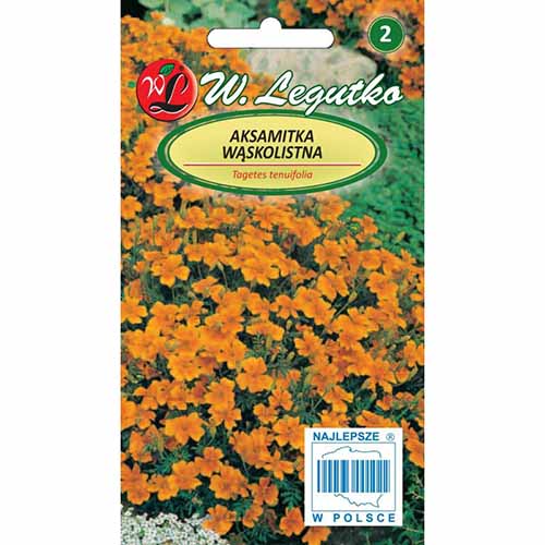 Crăițe Orange Gem imagine 1 articol 96691