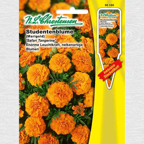 Crăițe Safari Tangerine imagine 1 articol 69391