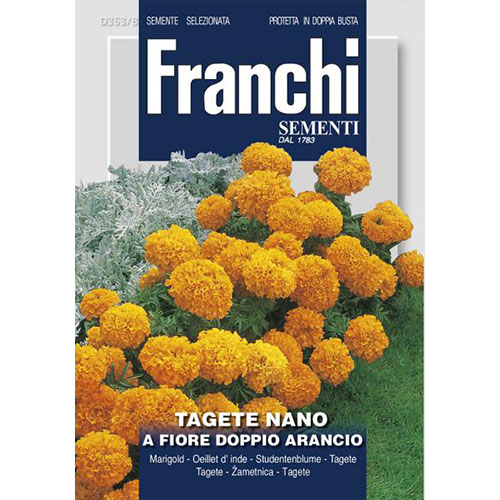 Crăițe pitice cu flori duble portocalii imagine 1 articol 87310