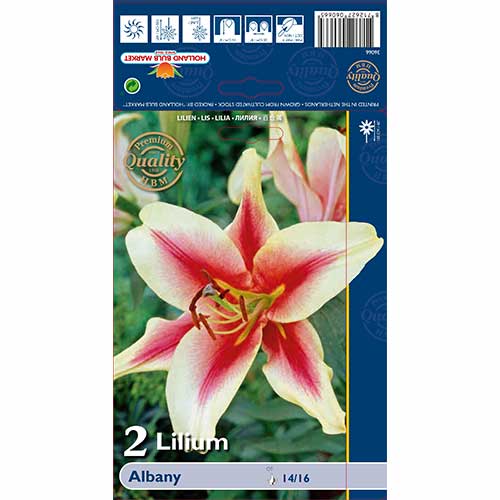 Crin Albany imagine 1 articol 70232