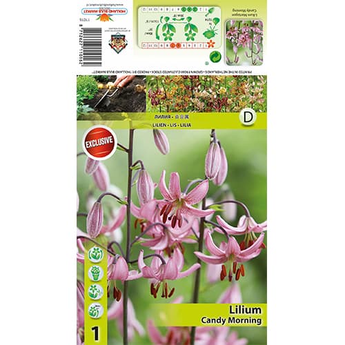 Crin Candy Morning imagine 1 articol 77821