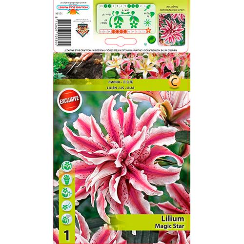 Crin Magic Star imagine 1 articol 76314