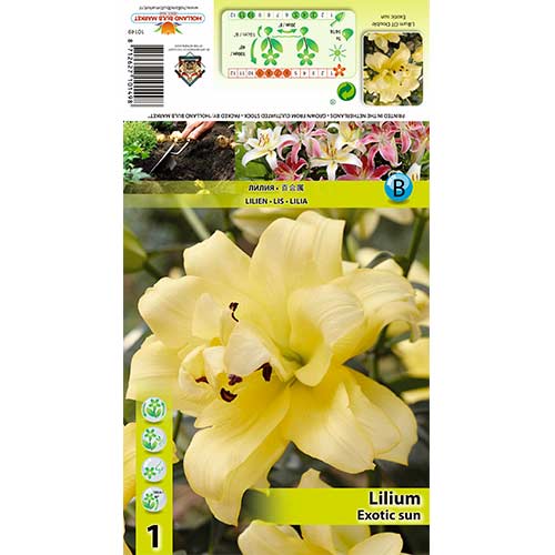 Crin Exotic Sun imagine 1 articol 70429