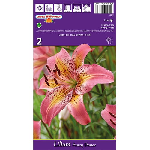 Crin Fancy Dance imagine 1 articol 77836